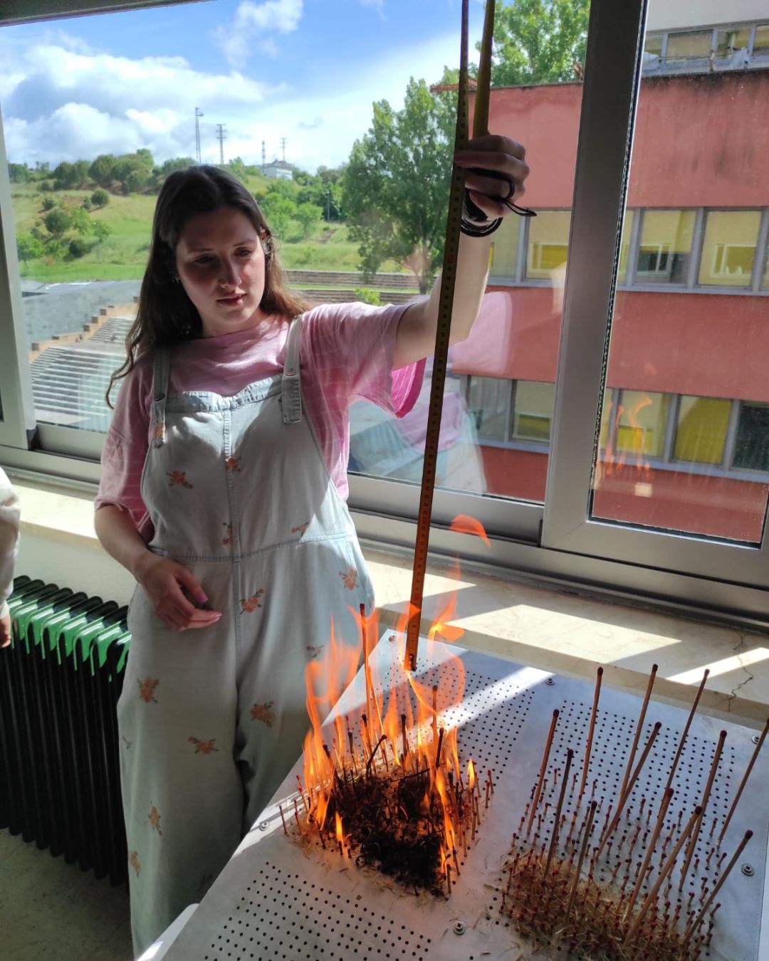 Forestales futuro Ponferrada Forestales futuro Ponferrada