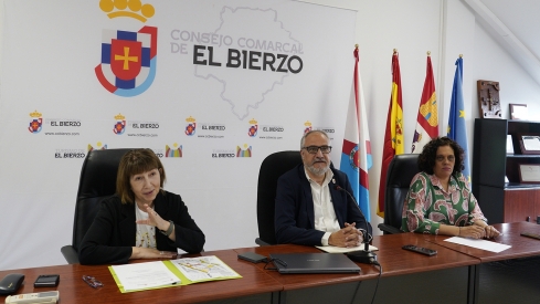 El Consejo Comarcal del Bierzo 
