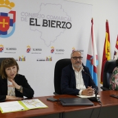 El Consejo Comarcal del Bierzo 