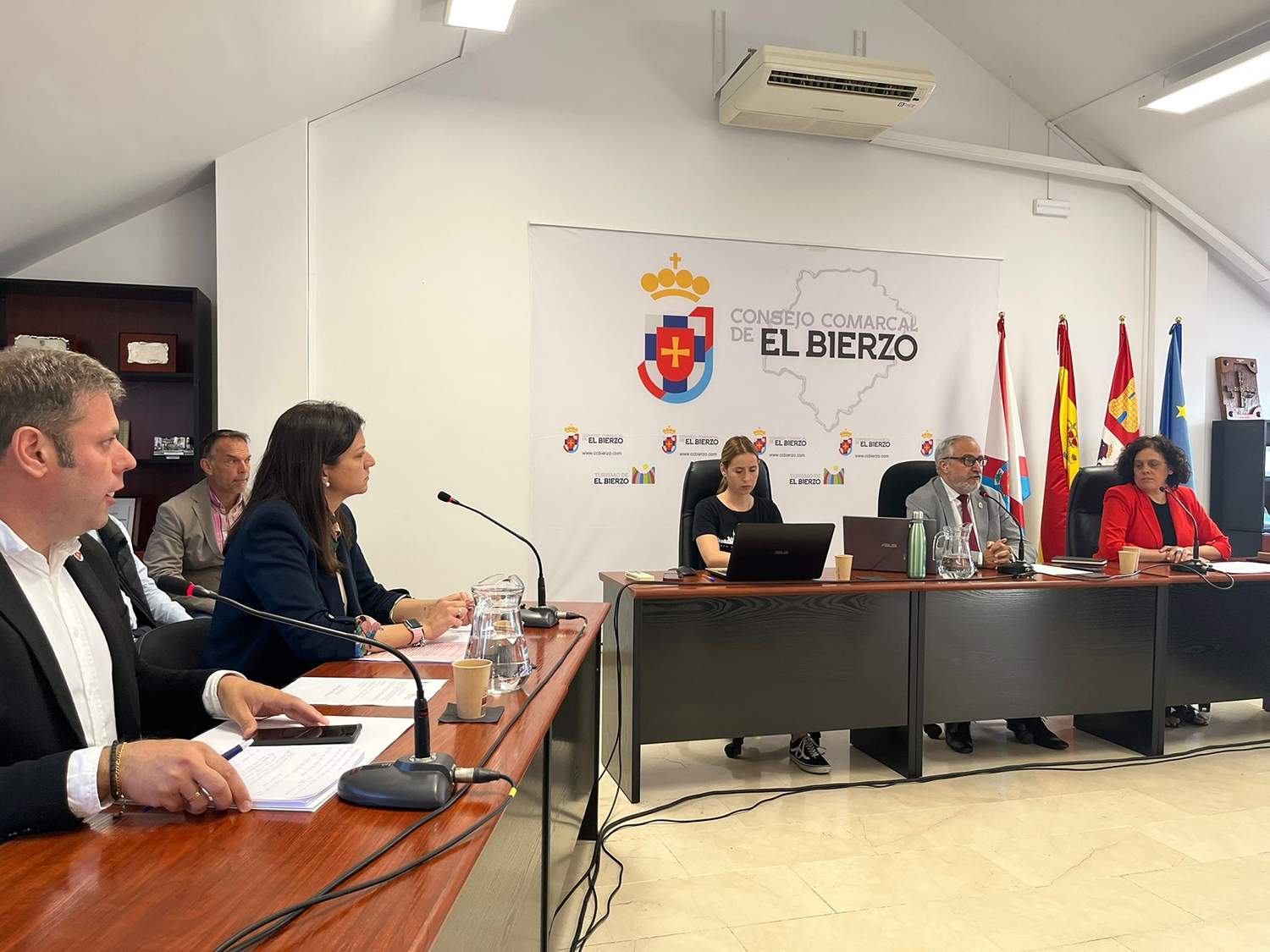 Pleno del presupuesto 2025 del Consejo Comarcal del Bierzo
