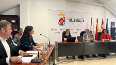 Pleno del presupuesto 2025 del Consejo Comarcal del Bierzo Pleno del presupuesto 2025 del Consejo Comarcal del Bierzo