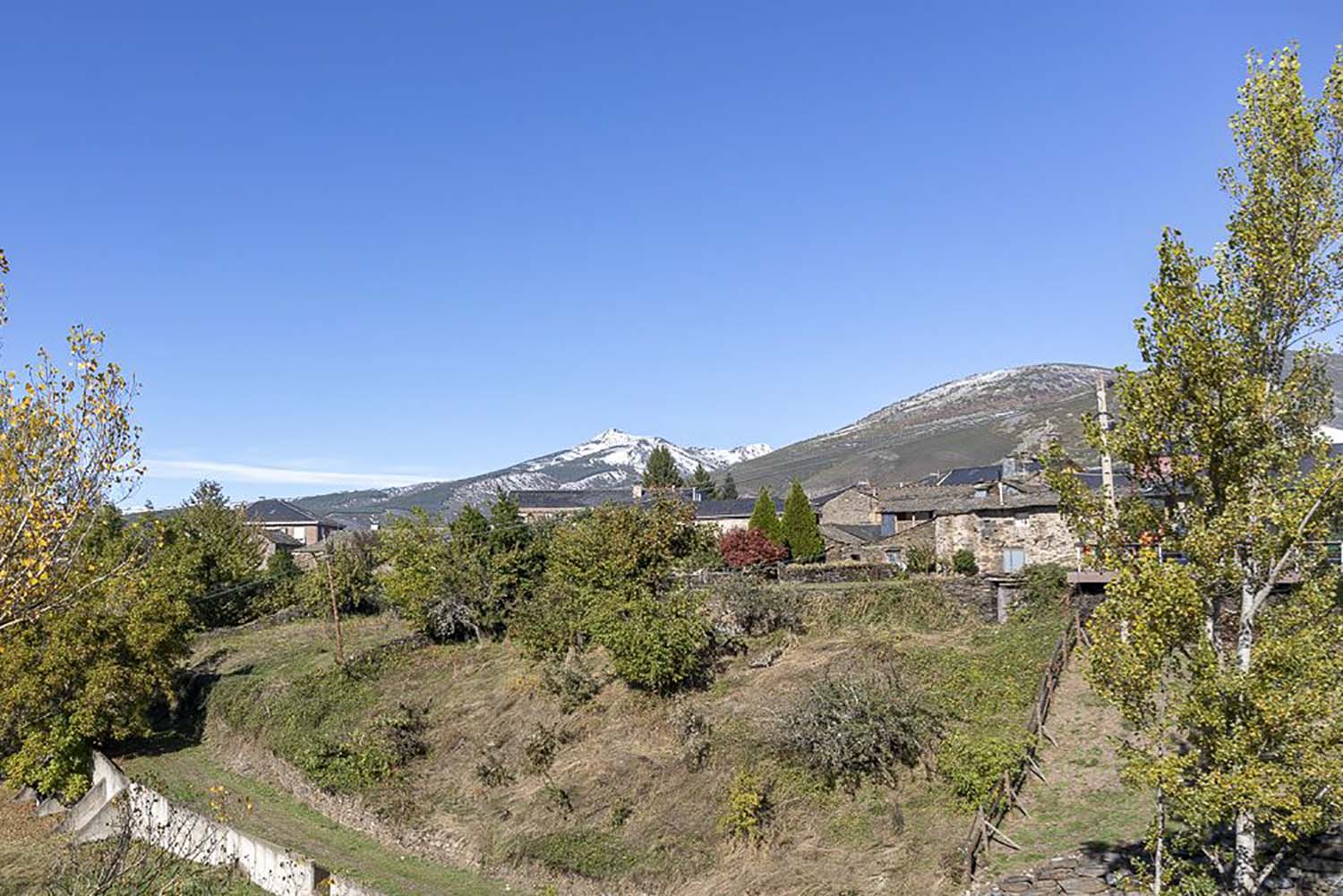 Páramo del Sil subasta el césped de su campo de futbol para el ganado local 