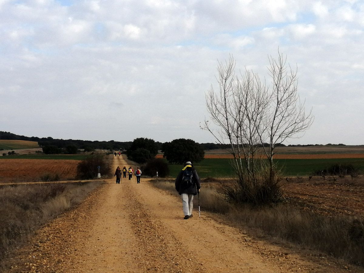 Peregrinos realizando el Camino de Santiago