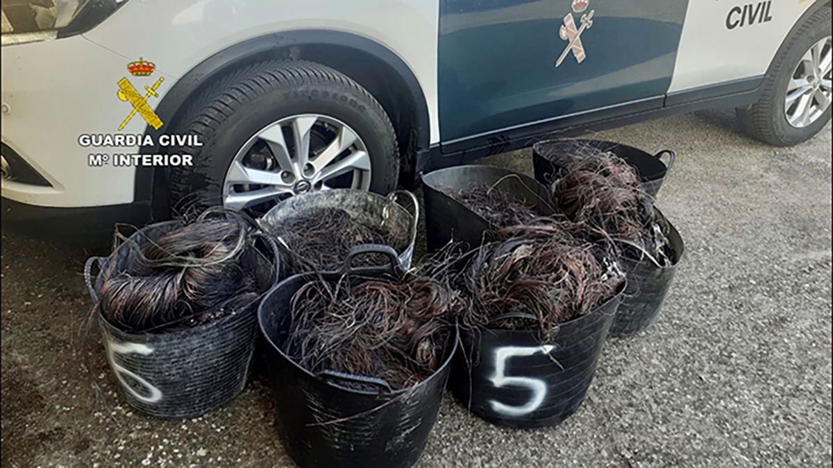 Cuatro detenidos por once robos de cableado de cobre al sur de la provincia de Salamanca