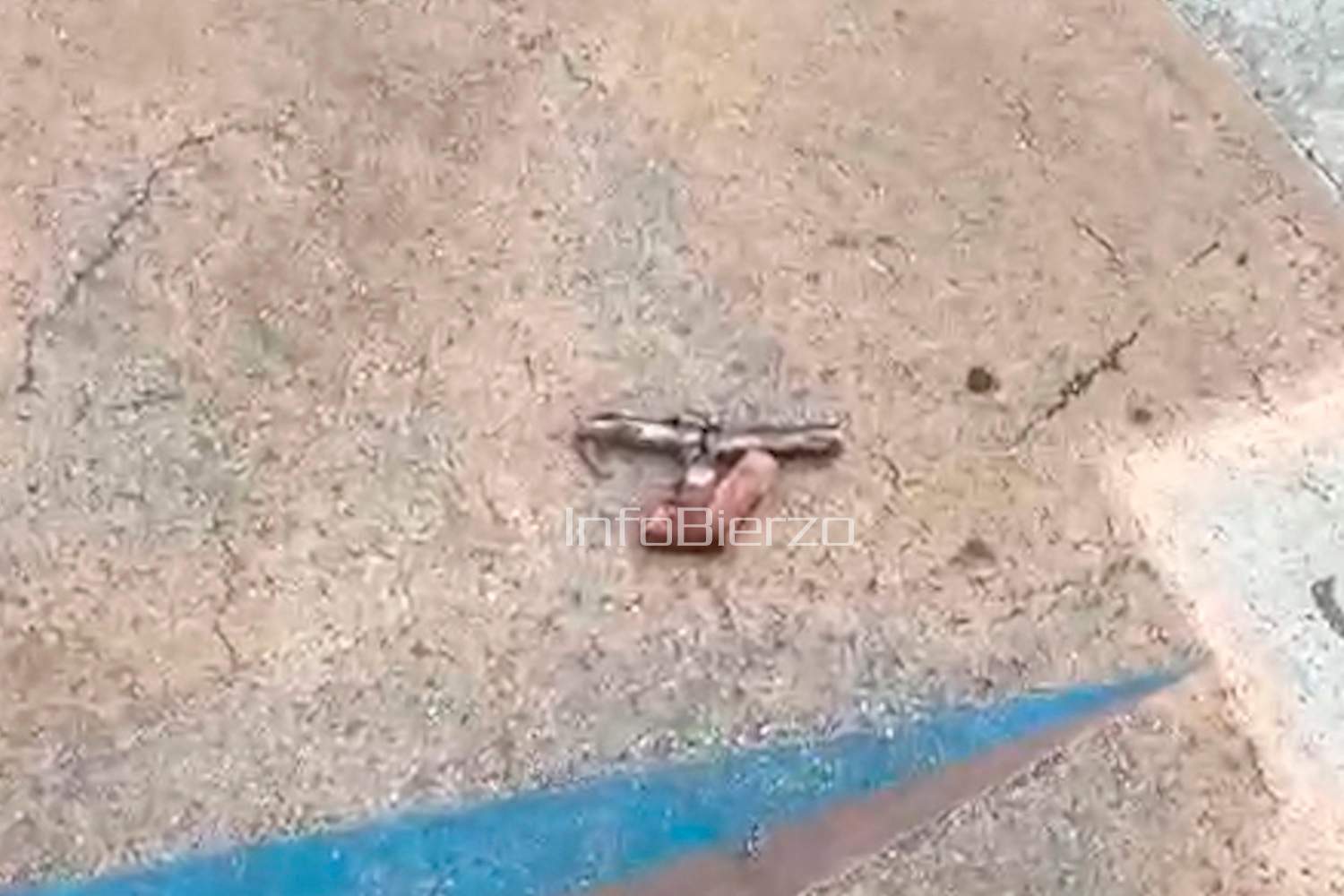 Incidente en Bembibre Incidente en Bembibre