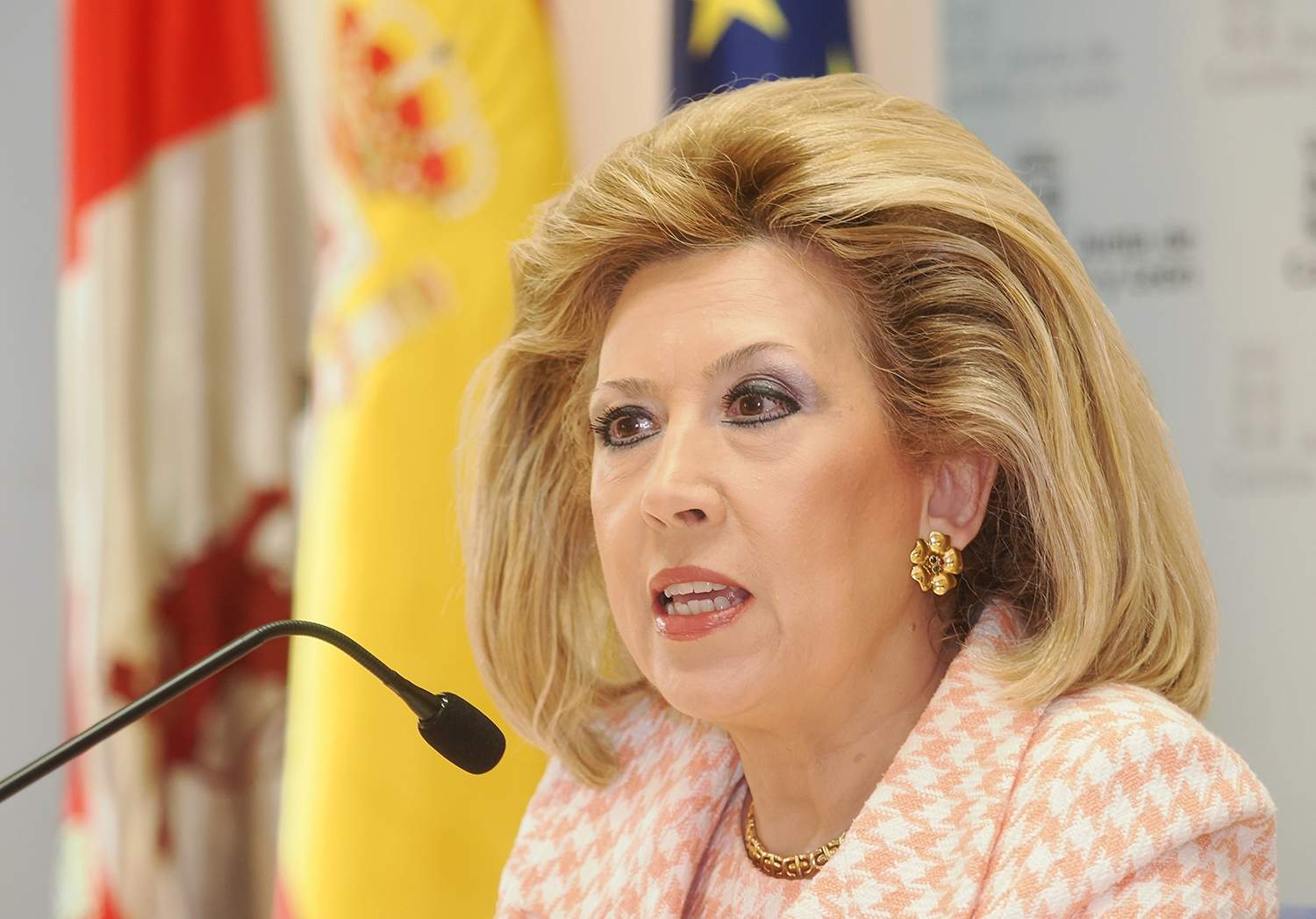 R. Valtero / ICAL . La gerente regional de Salud, Violeta Martínez Pindado R. Valtero / ICAL . La gerente regional de Salud, Violeta Martínez Pindado