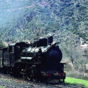 El Consorcio del Tren Turístico Ponfeblino aprueba inicialmente su presupuesto para este año