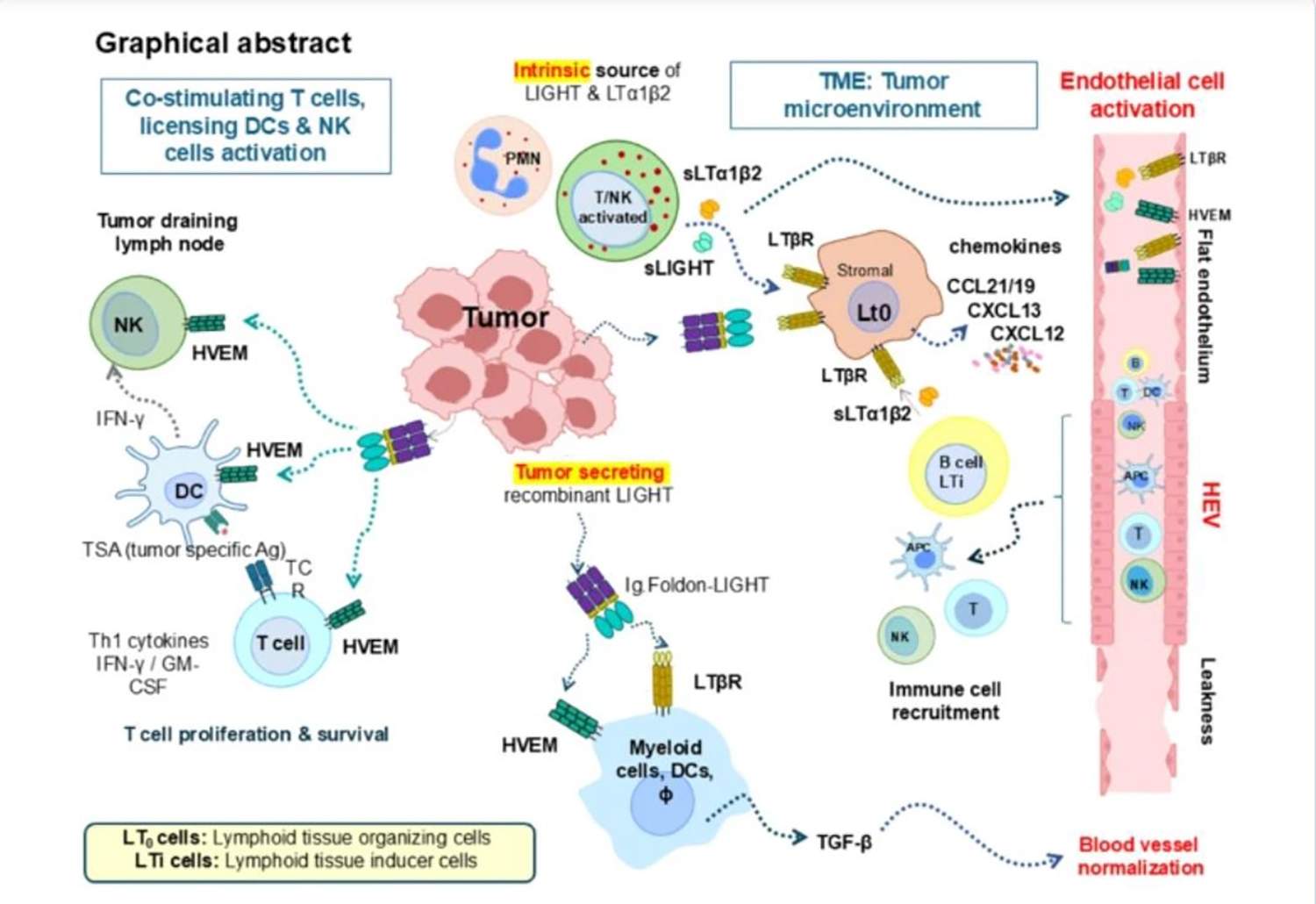 Gráfico que explica la investigación realizada