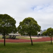 Pistas del Colomán Trabado de Ponferrada
