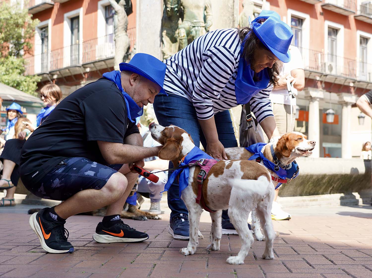 Leticia Pérez ICAL. La Asociación de Veterinarios Empresarios de Valladolid (Avemvall) y el Colegio Oficial de Veterinarios convocan una protesta contra el Real Decreto 6662024.