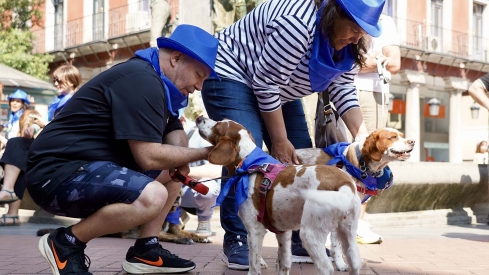 Leticia Pérez ICAL. La Asociación de Veterinarios Empresarios de Valladolid (Avemvall) y el Colegio Oficial de Veterinarios convocan una protesta contra el Real Decreto 6662024.