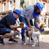 Leticia Pérez ICAL. La Asociación de Veterinarios Empresarios de Valladolid (Avemvall) y el Colegio Oficial de Veterinarios convocan una protesta contra el Real Decreto 6662024.