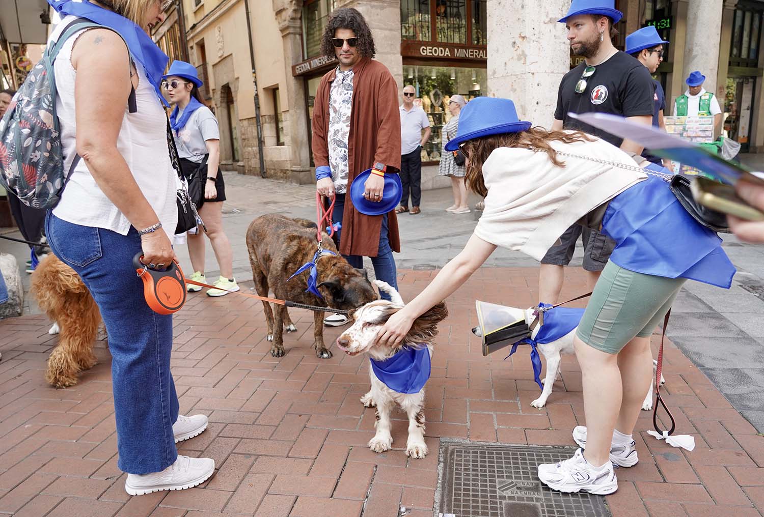 Leticia Pérez ICAL. La Asociación de Veterinarios Empresarios de Valladolid (Avemvall) y el Colegio Oficial de Veterinarios convocan una protesta contra el Real Decreto 6662024