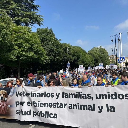ICAL . Manifestación contra la normativa que regula el uso de los medicamentos veterinarios ICAL . Manifestación contra la normativa que regula el uso de los medicamentos veterinarios