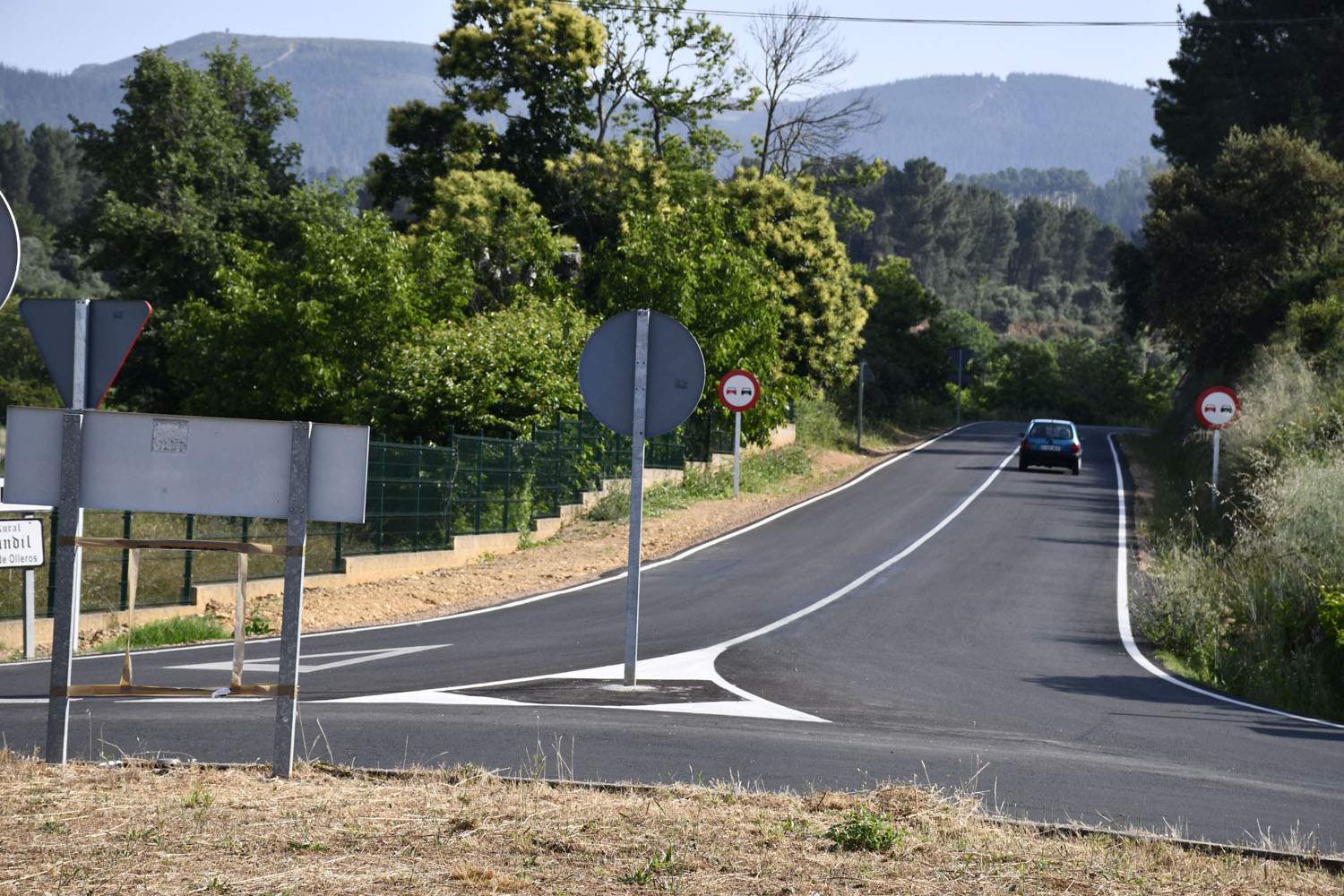 Carretera Cacabelos Arganza (5)