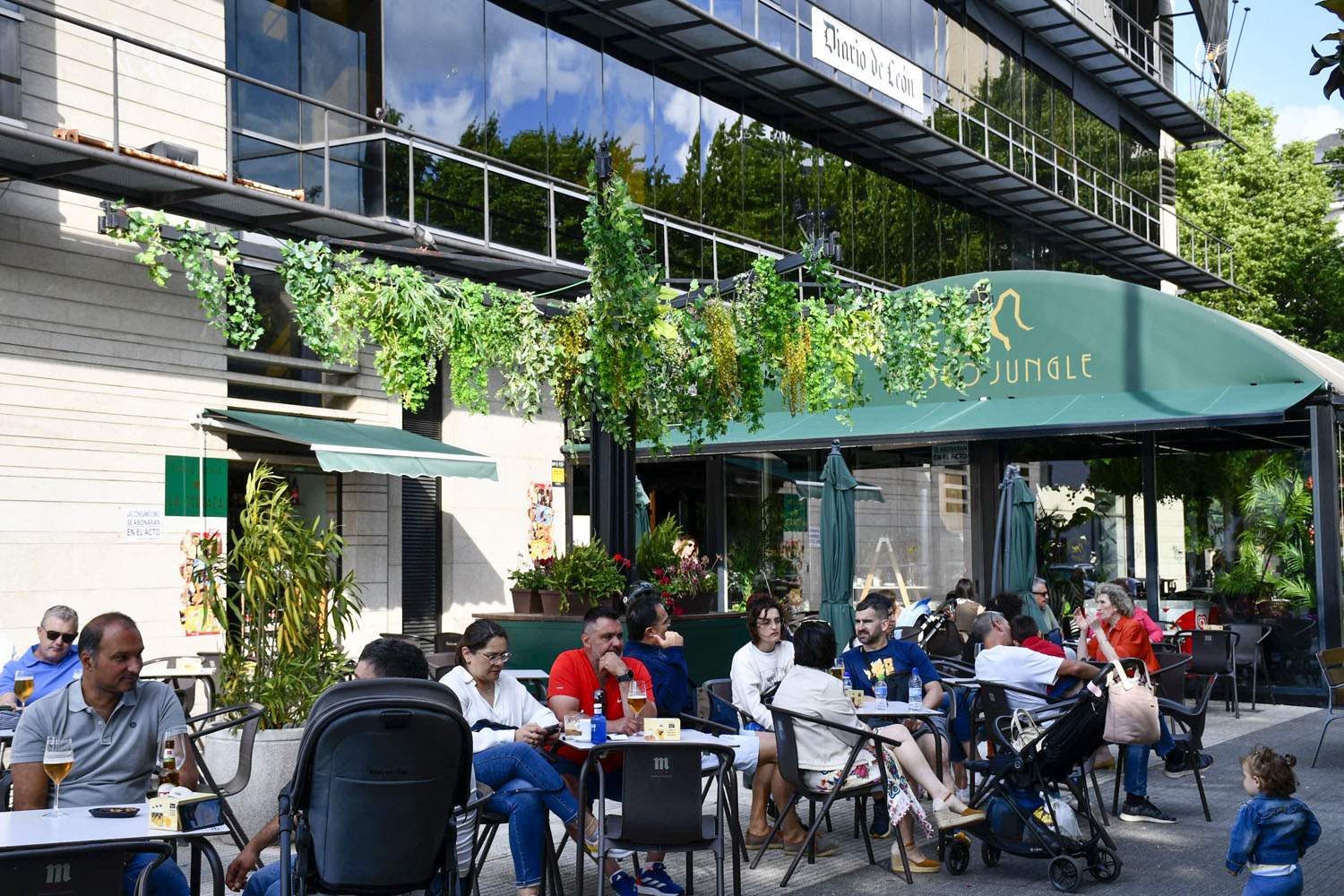 Terraza Museo Jungle (7)