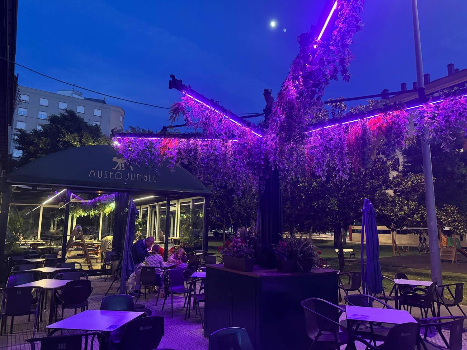 Terraza del Museo Jungle