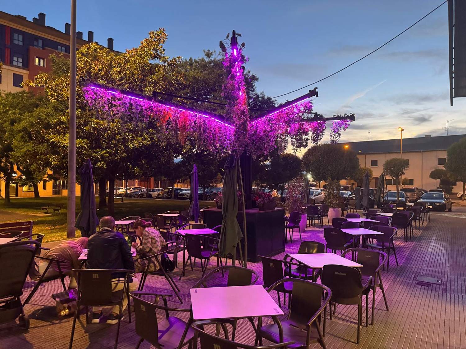 Terraza del Museo Jungle 2