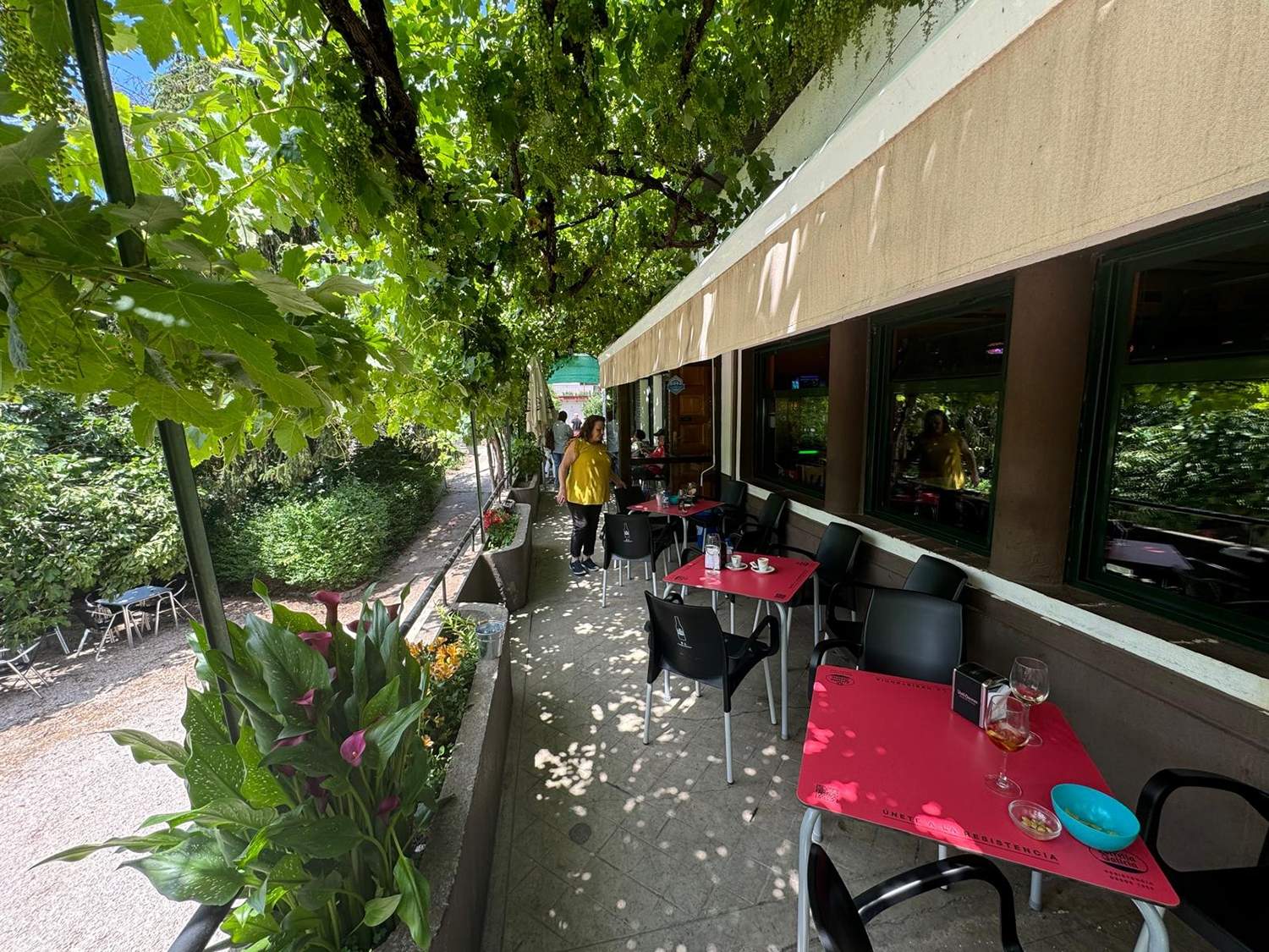 Terraza bar El Puente