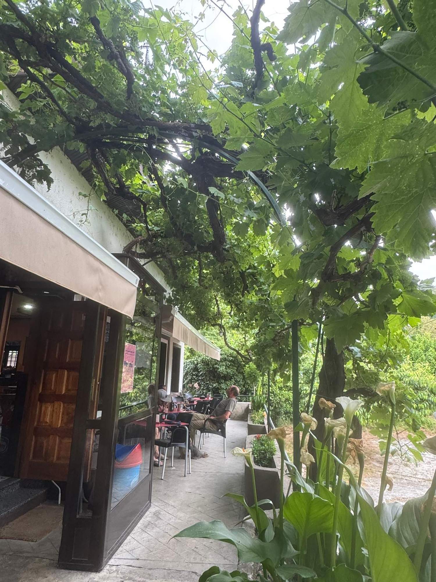 Terraza bar El Puente 2