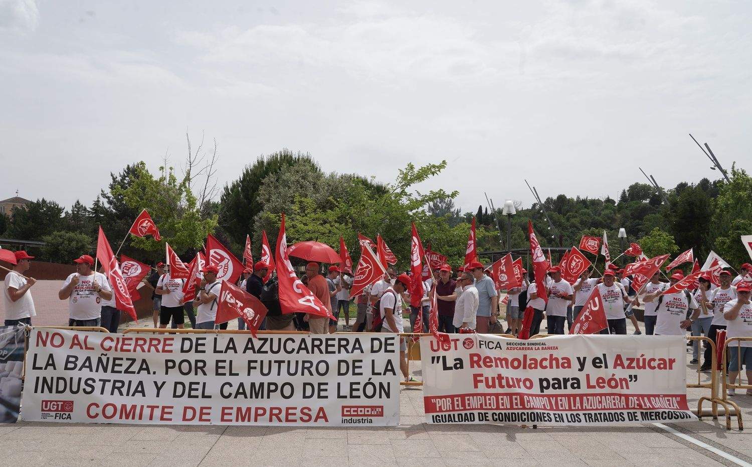  Trabajadores de Azucarera de conectan frente a la sede de las Cortes para defender sus puestos de trabajo | Rubén Cacho / ICAL