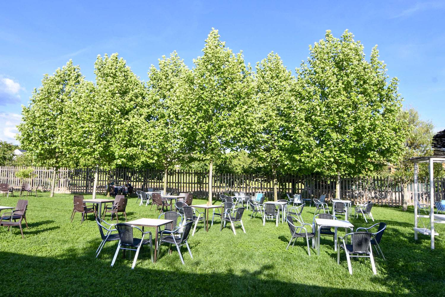 Terraza Moncloa de San Lázaro(6)