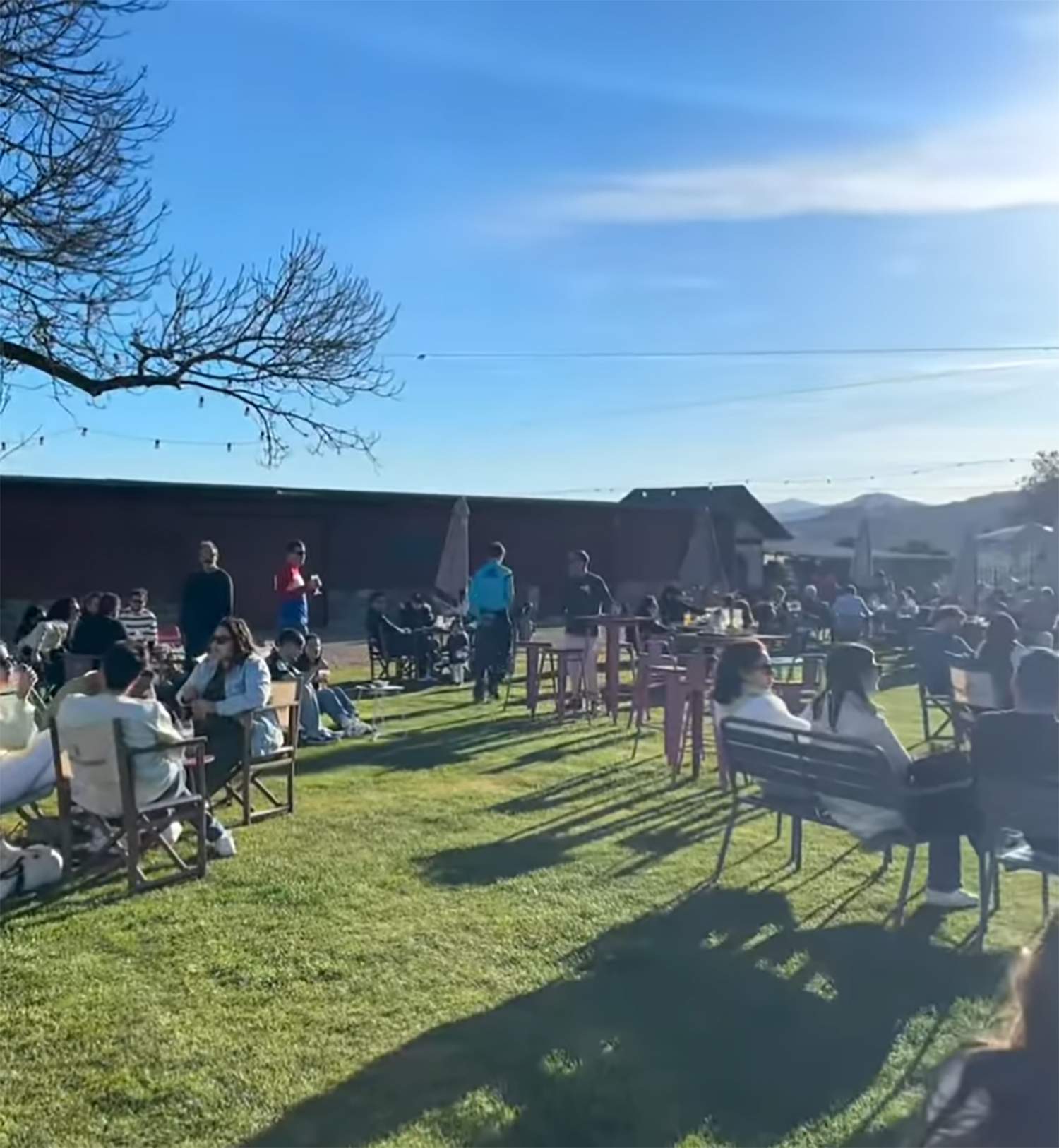 Terraza de La Picota