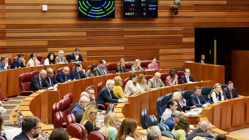 Pleno de las Cortes de Castilla y León | Foto: Miriam Chacón, ICAL