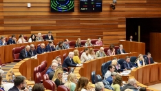 Pleno de las Cortes de Castilla y León | Foto: Miriam Chacón, ICAL