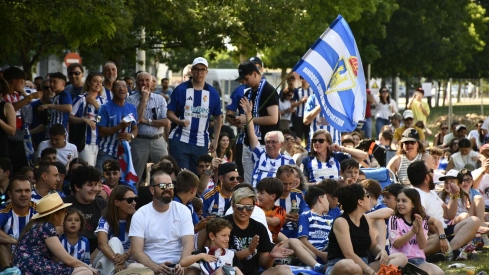 La Rosaleda fue una marea blanquiazul (14)