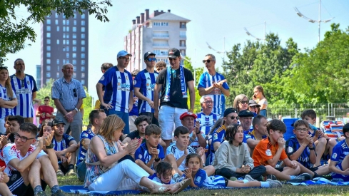 La Rosaleda fue una marea blanquiazul  (34)