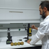 Un estudio de la ULE demuestra la mejora de la calidad de la Pera Conferencia con un cultivo ecológico