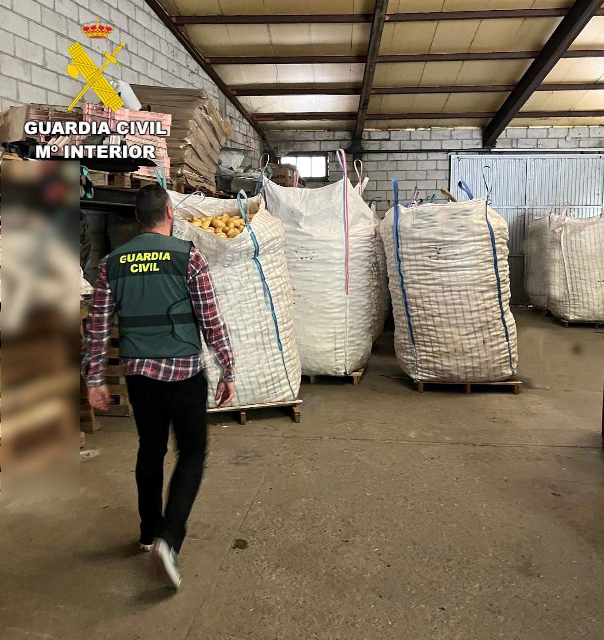 WhatsApp Image 2025 06 19 at 12.41.28