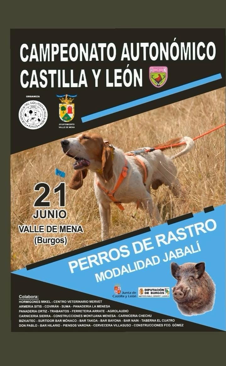 WhatsApp Image 2025 06 22 at 12.23.27