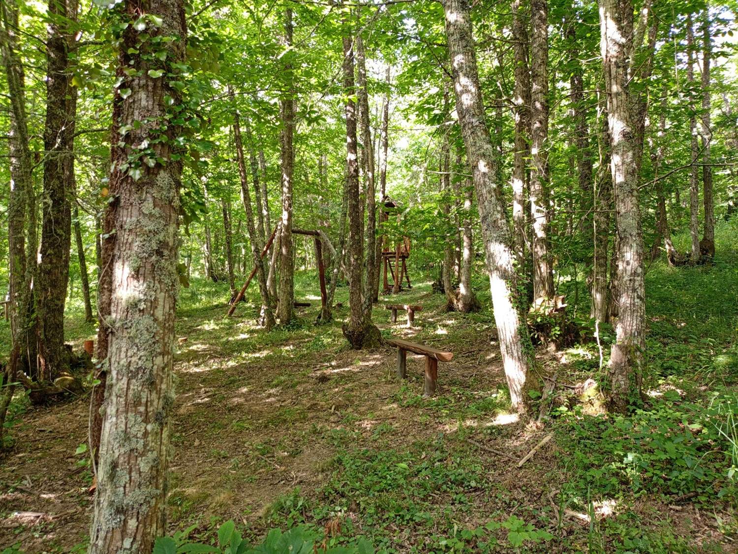 Área recreativa Soto de Villar de los Barrios 3