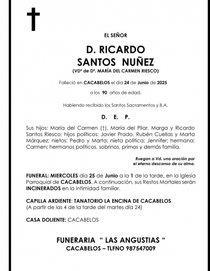 RICARDO  SANTOS  NUÑEZ
