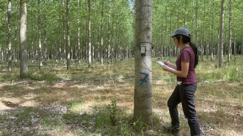 Erika García, una de las investigadoras del Campus de Ponferrada que lidera un estudio internacional para detectar enfermedades en choperas con satélites e inteligencia artificial