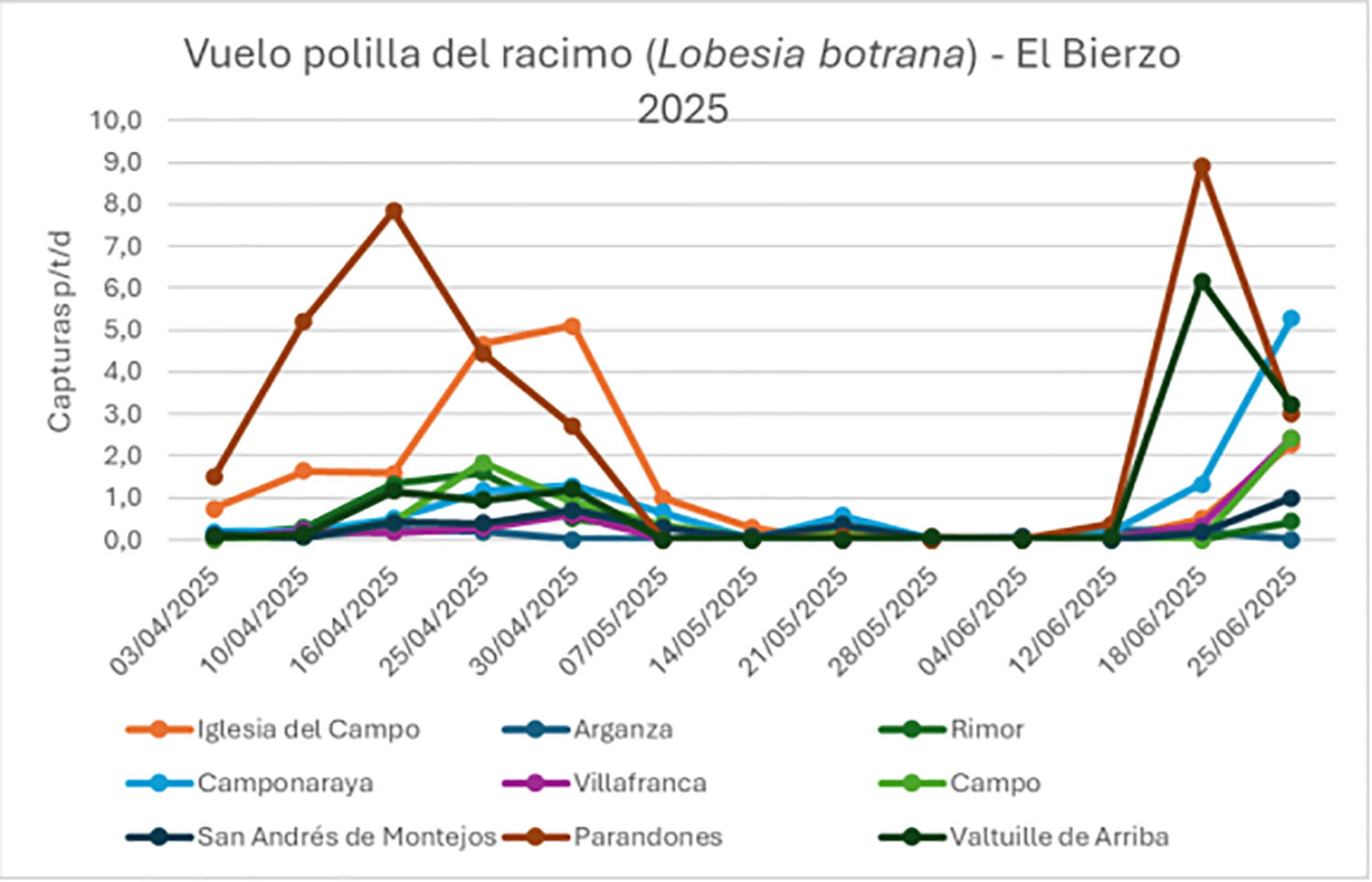POLILLA RACIMO 2 POLILLA RACIMO 2