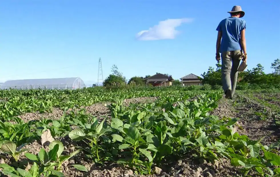 El Gobierno autoriza 1,5 millones para ampliar ayudas a agricultores afectados por el incremento del precio de los fertilizantes