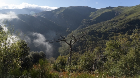 Un curso de la ULE abordará en Villafranca la importancia del patrimonio natural y cultural del Bierzo