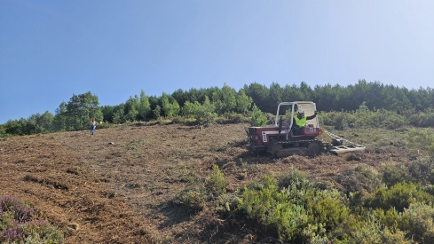 Visita a la plantación de castaños de Quintana de Fuseros