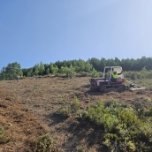 Visita a la plantación de castaños de Quintana de Fuseros