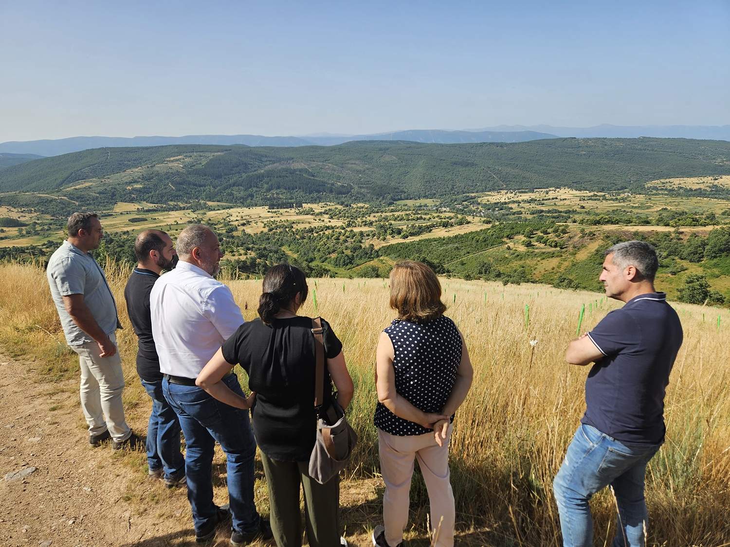 Visita a la plantación de castaños de Quintana de Fuseros.