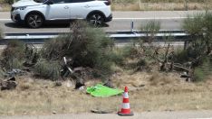 Fallecen el futbolista del Liverpool Diogo Jota y su hermano en un accidente en la A-52 en Cernadilla (Zamora) | ICAL