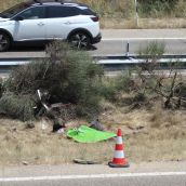 Fallecen el futbolista del Liverpool Diogo Jota y su hermano en un accidente en la A-52 en Cernadilla (Zamora) | ICAL Fallecen el futbolista del Liverpool Diogo Jota y su hermano en un accidente en la A-52 en Cernadilla (Zamora) | ICAL