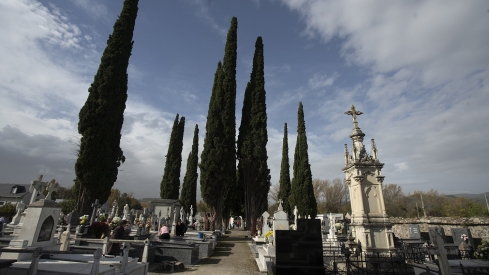 César Sánchez ICAL. Día de Todos los Santos en el cementerio municipal de Cacabelos. 