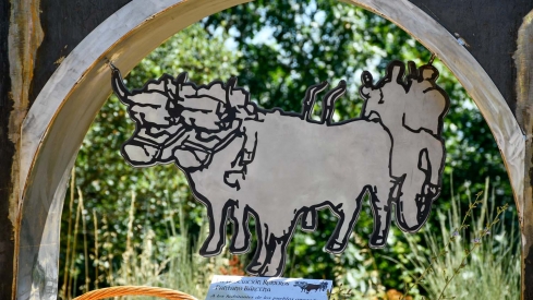 Romería del Pantano de Bárcena (29)