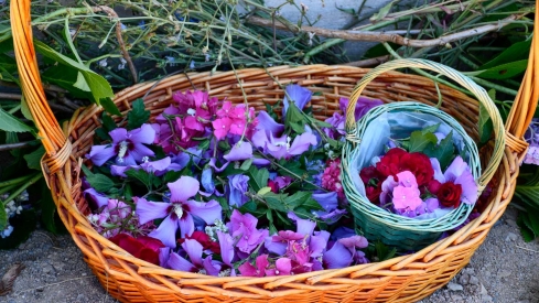 Romería del Pantano de Bárcena (12)