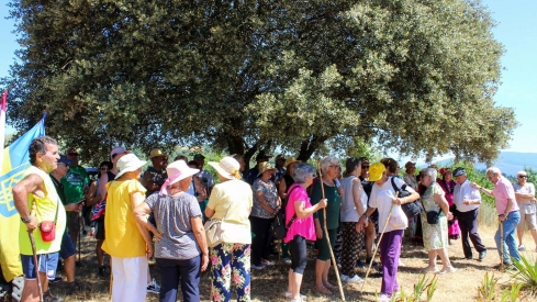 Romería del Pantano de Bárcena (52)
