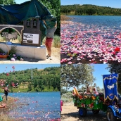 Ofrenda Pantano de Bárcena